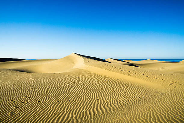 istock View from Maspalomas Dunes to the Atlantic Ocean 540729182