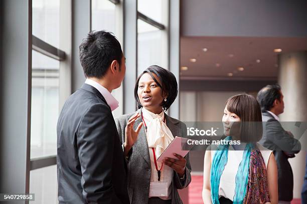 African Female Business Manager Leads The Discussion Stock Photo - Download Image Now