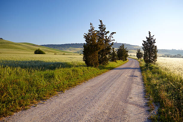 istock Beautiful Tuscany landscape 540730302