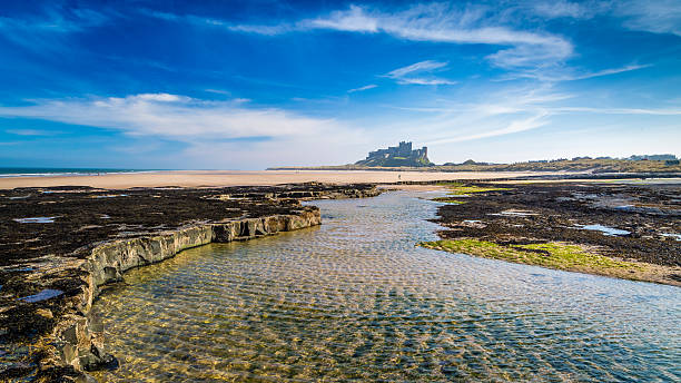 bamburgh castle on the northumberland coast, england - bamburgh beach imagens e fotografias de stock