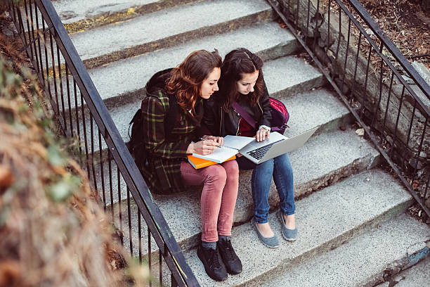 istock Teenage girls studying on the lap top - copyspace 540734178
