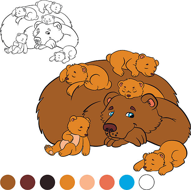 Color Me Bear 60+ Bear Coloring Pages For Kids Pictures Stock Illustrations, Royalty ...