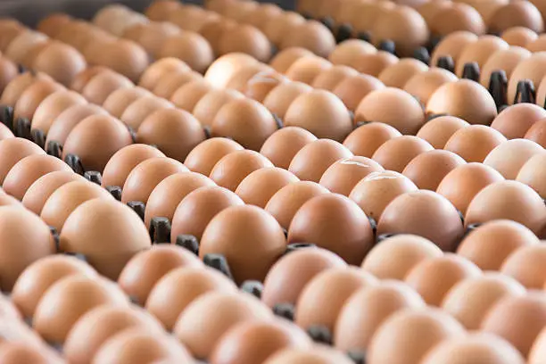 Photo of Eggs from chicken farm in the package