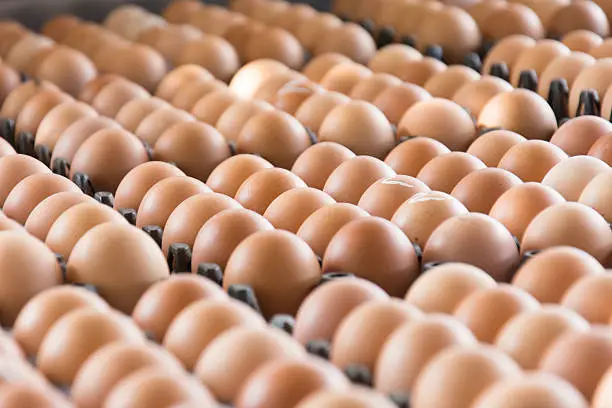 Eggs from chicken farm in the package that preserved for sale