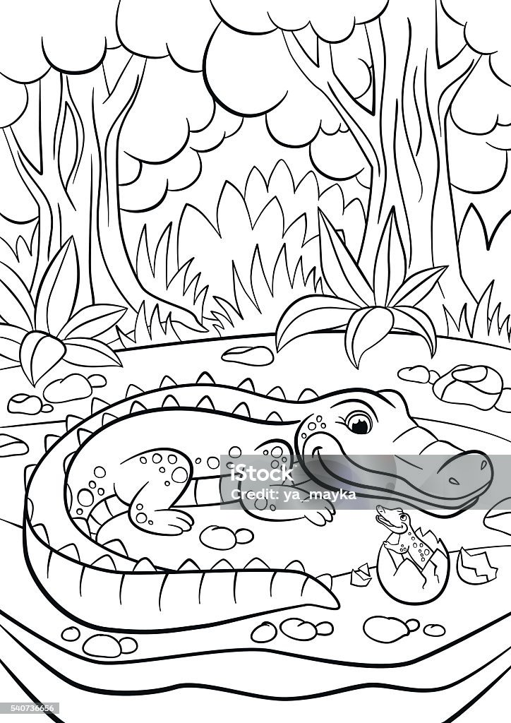 Mother alligator looks at her little cute baby alligator Coloring pages. Animals. Mother alligator looks at her little cute baby alligator in the egg. Africa stock vector