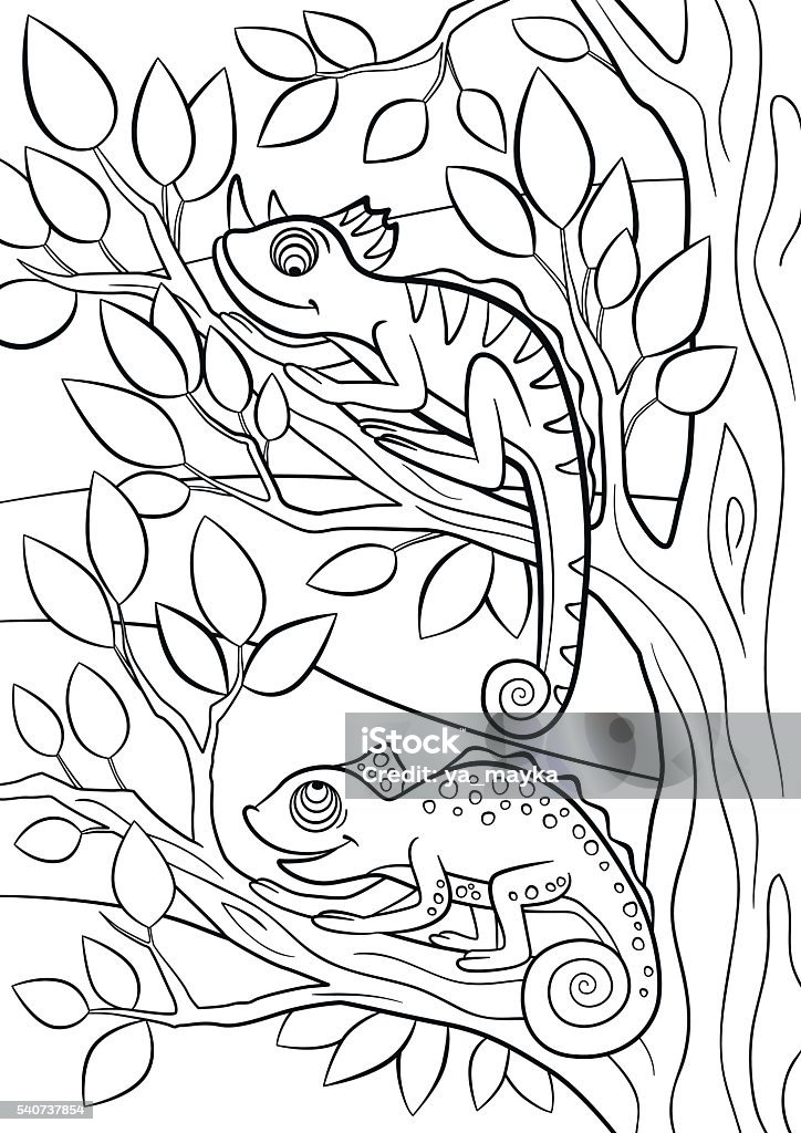 Coloring pages. Wild animals. Two little cute chameleon. Coloring pages. Wild animals. Two little cute chameleon sits on the tree branch. Activity stock vector