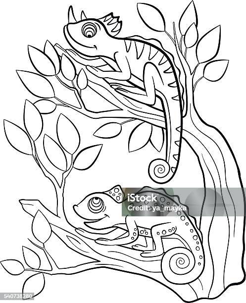 Coloring Pages Wild Animals Two Little Cute Chameleon Stock Illustration -  Download Image Now - iStock
