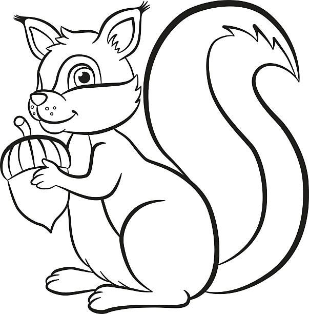 131 Squirrel Outline Pictures Illustrations & Clip Art - iStock