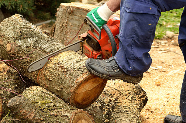 istock Man with chainsaw cutting the wooden log 540740240