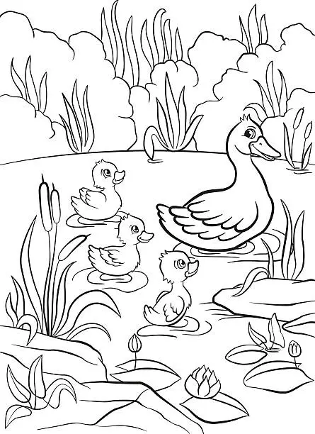 Vector illustration of Kind duck and three little cute ducklings