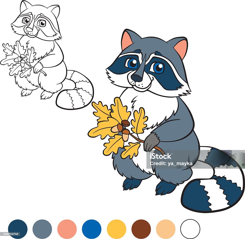 Coloring page. Color me: raccoon. Coloring page. Color me: raccoon. Little cute raccon holds an oak twig in the hands. Animal stock vector