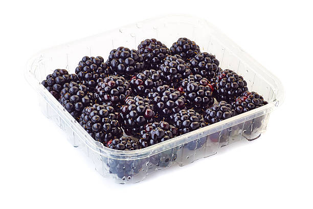 punnet of blackberries on white stock photo