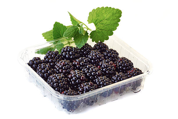 istock punnet of blackberries with mint branch on white 540743156