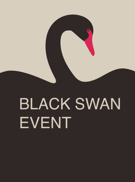 illustrazioni stock, clip art, cartoni animati e icone di tendenza di brochure di copertina poster volantino, evento cigno nero, illustrazione vettoriale - black swan