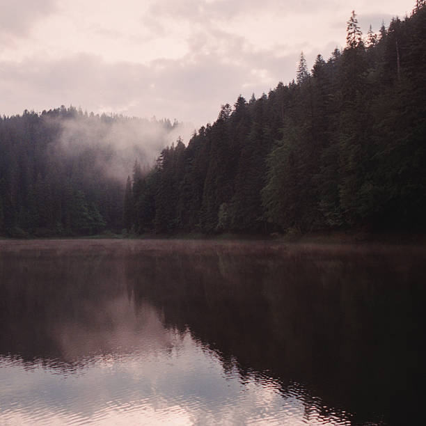 istock Fog on mountain lake at sunset. 540744146