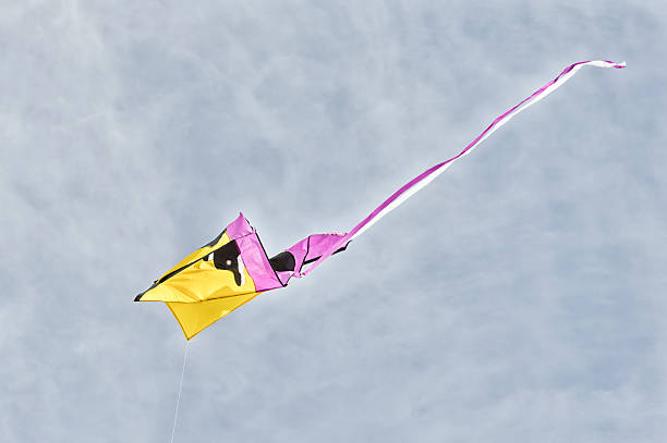 istock Butterfly kite in the sky 540745656