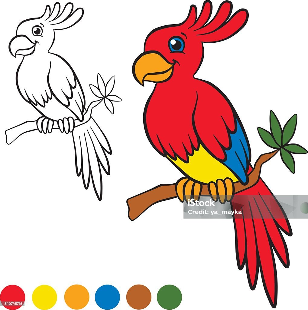 Little cute parrot sits on the tree branch and smiles. Coloring page. Color me: parront. Little cute parrot sits on the tree branch and smiles. Parrot stock vector