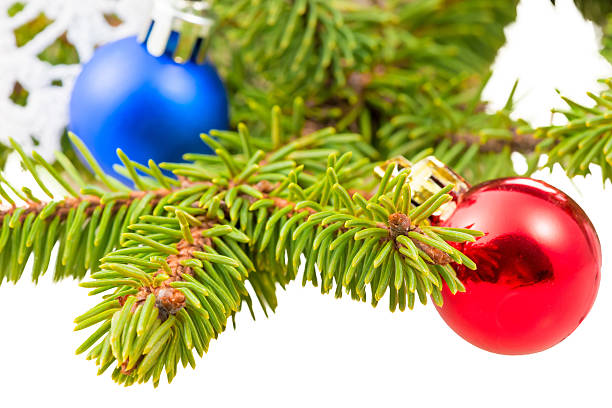 istock green fir branches close shots and small balls 540745792