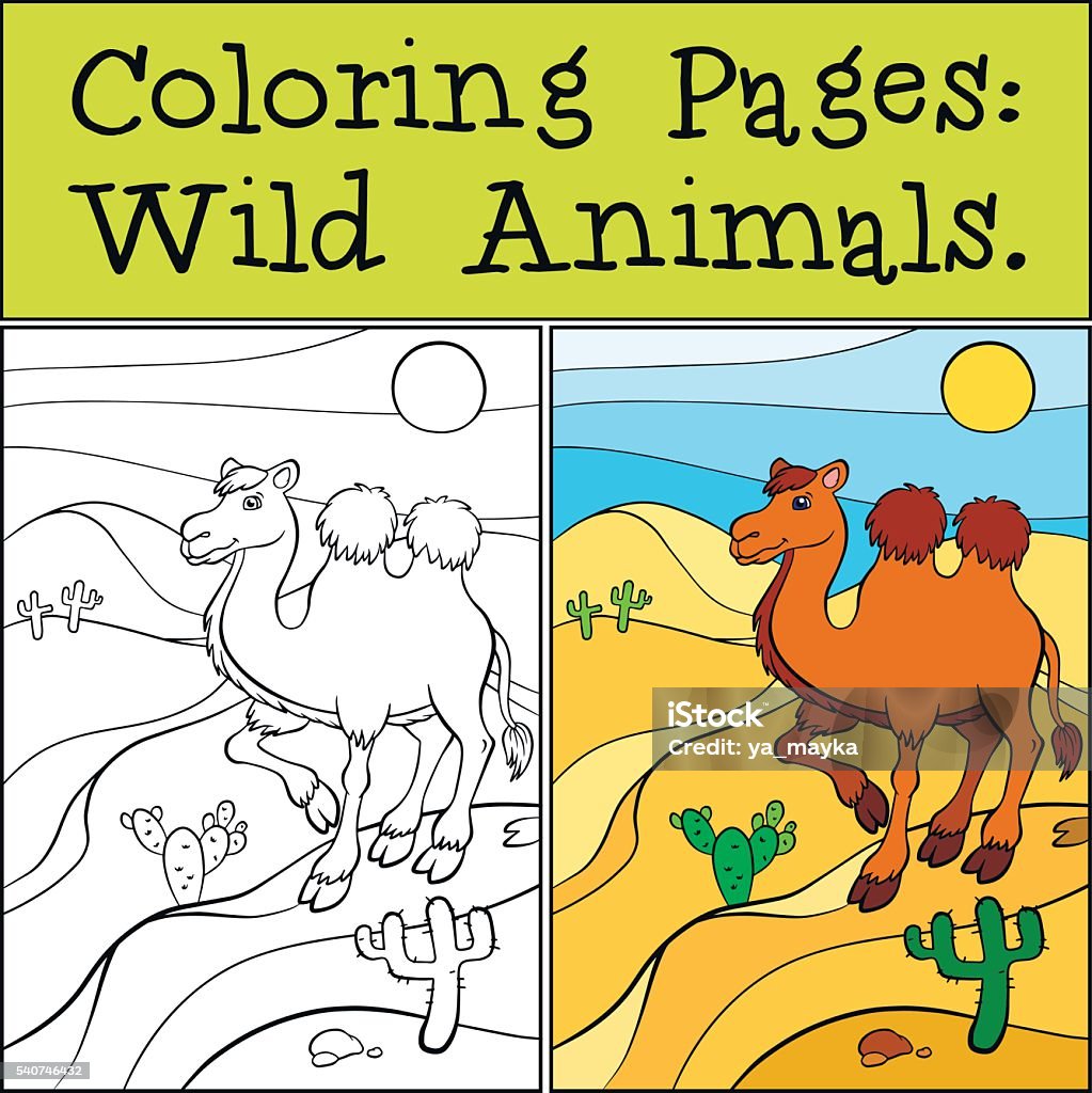 Cute camel stands on the sand and smiles. Coloring Pages: Wild Animals. Cute camel stands on the sand in the desert and smiles. Africa stock vector