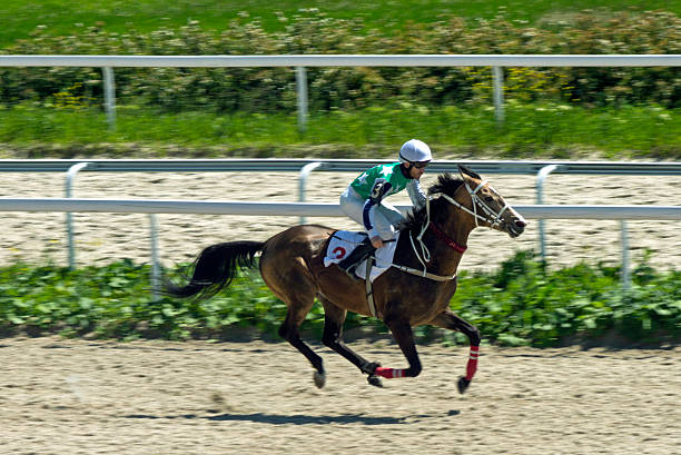 istock Horse racing in Pyatigorsk 540749302