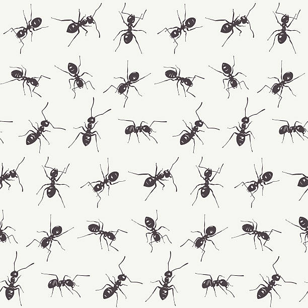 흰색 배경에 검은 개미. 벡터 원활한 패턴 - teamwork ant cooperation challenge stock illustrations