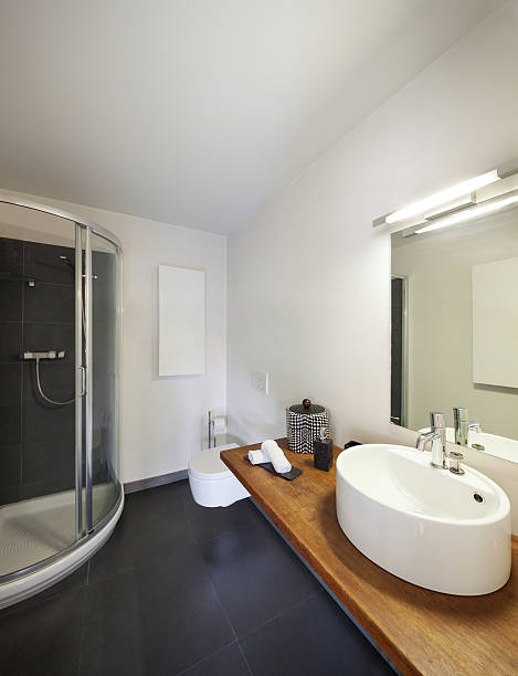 istock Bathroom, sink and shower 540750908