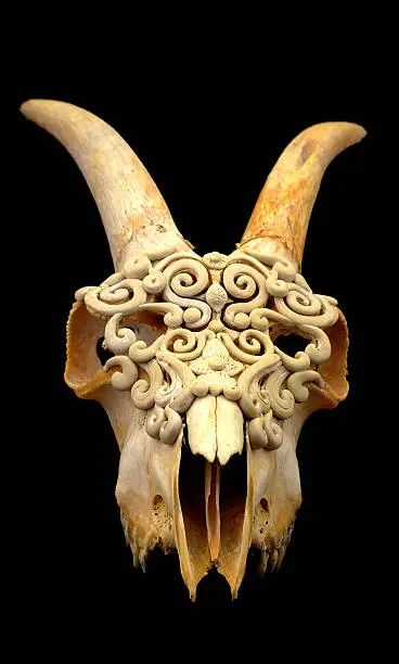 Photo of Goat's skull decorated with  Polymer clay  (Selective focus)