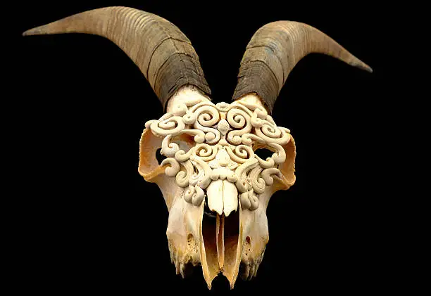 Photo of Goat's skull decorated with  Polymer clay  (Selective focus)