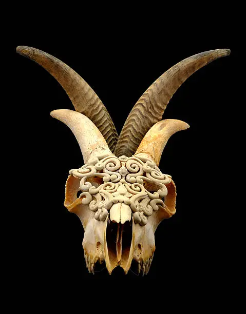 Photo of Goat's skull decorated with  Polymer clay  (Selective focus)