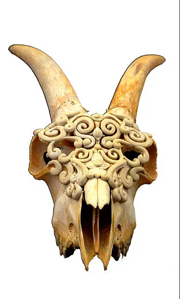 Photo of Goat's skull decorated with  Polymer clay  (Selective focus)