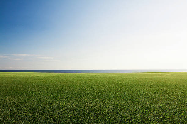 istock grass and sea in sunset time 540754628