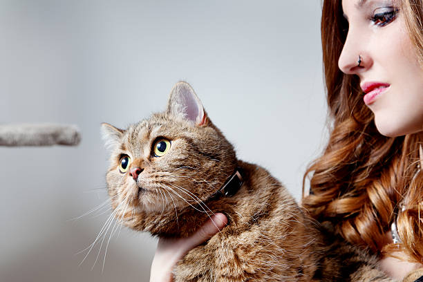 istock beautiful girl with her cat, neutral background 540755184