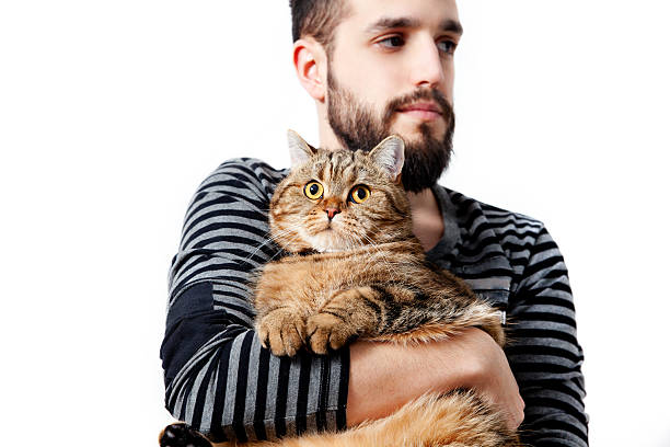 Bearded man with his beautiful cat on white background. People and pets.  lifestyle