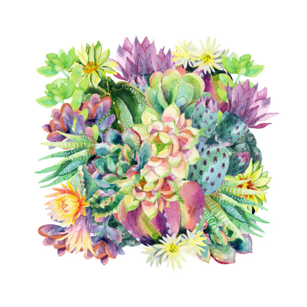 Watercolor blooming cactus background Watercolor blooming cactus background. Exotic cacti with flowers. Succulent plants and cactus in square. Hand painted watercolor illustration for t-shirt, invitation, floral design. thorn wreath stock illustrations