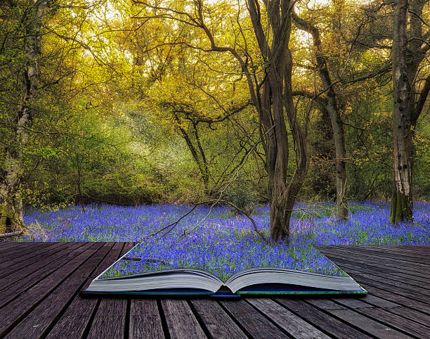 istock Stunning landscape image of bluebell forest in Spring 540758706