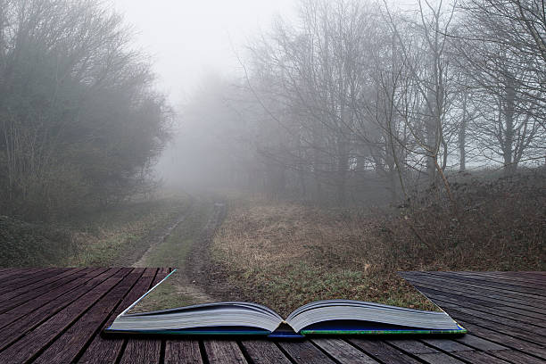 istock Moody dramatic foggy forest landscape Spring Autumn Fall 540759404
