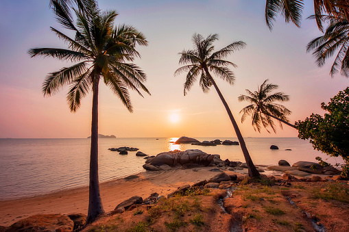 Sunset on Ko Pha-Ngan beach with palm trees.