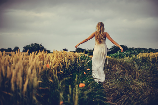 Beautiful blonde girl in wheat field with summer sun shining on her