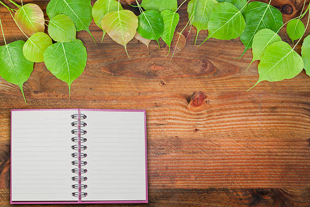 istock fresh green leaves and water drop on wood background 540763248