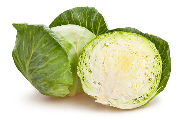 cavolo  - green cabbage foto e immagini stock