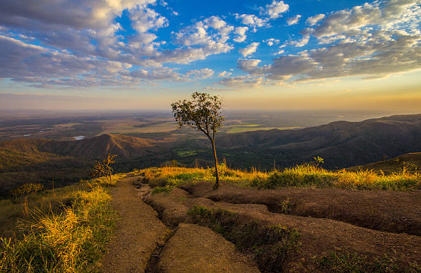 coucher de soleil sur les sommets des collines de belvédère - brousse photos et images de collection