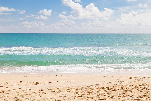 istock beach and tropical sea,selective focus on beach 540825718