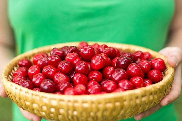 istock young woman holding a bowl cherry 540826678