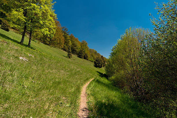 On the Altmuehltal Panorama Trail in Germany