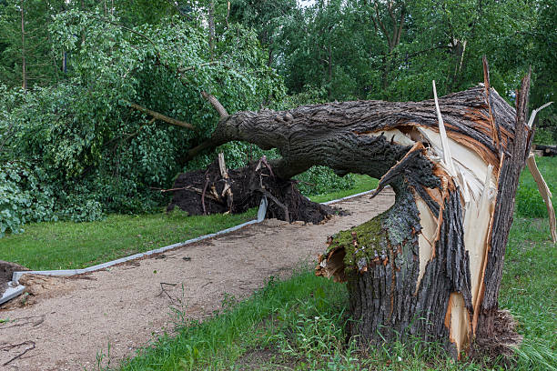 Damages after the storm and a hurricane
