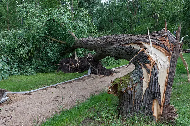 Photo of Damages after the storm and a hurricane