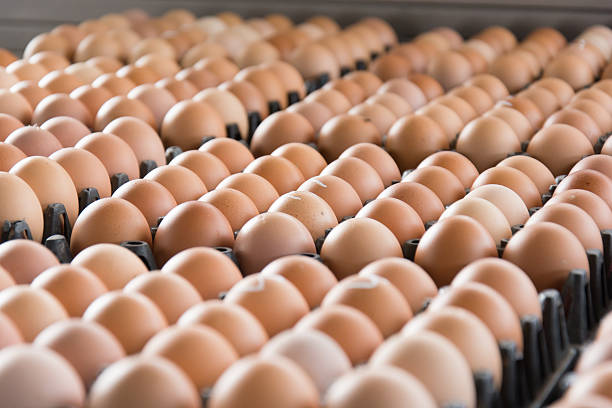 istock Eggs from chicken farm in the package 540834674