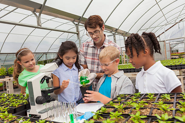 kinder lernen über die botanik hände - science education child classroom stock-fotos und bilder