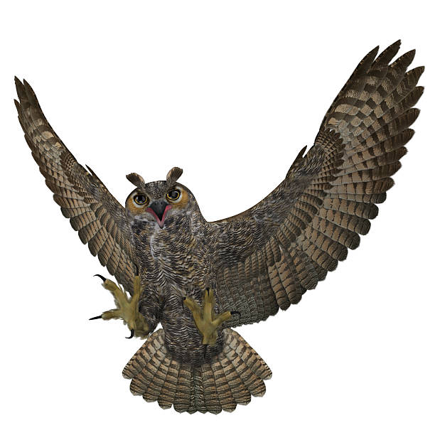 istock 3D Rendered Bubo Virginianus 