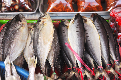 Pack of Short-bodied mackerel sale at open market